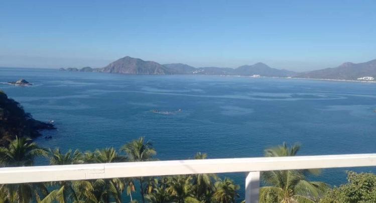 Photo of Others in Manzanillo