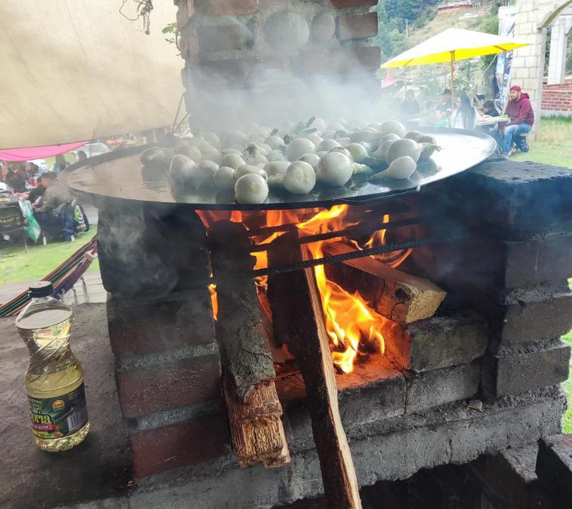 Photo of Kitchen in Ocoyoacac