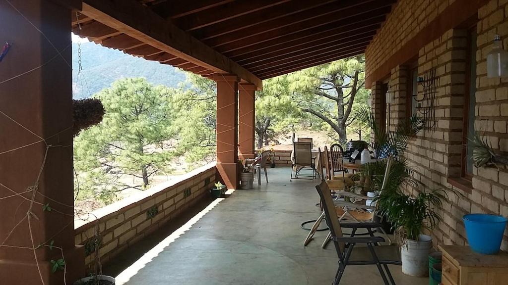Photo of Patio Balcony in Mascota