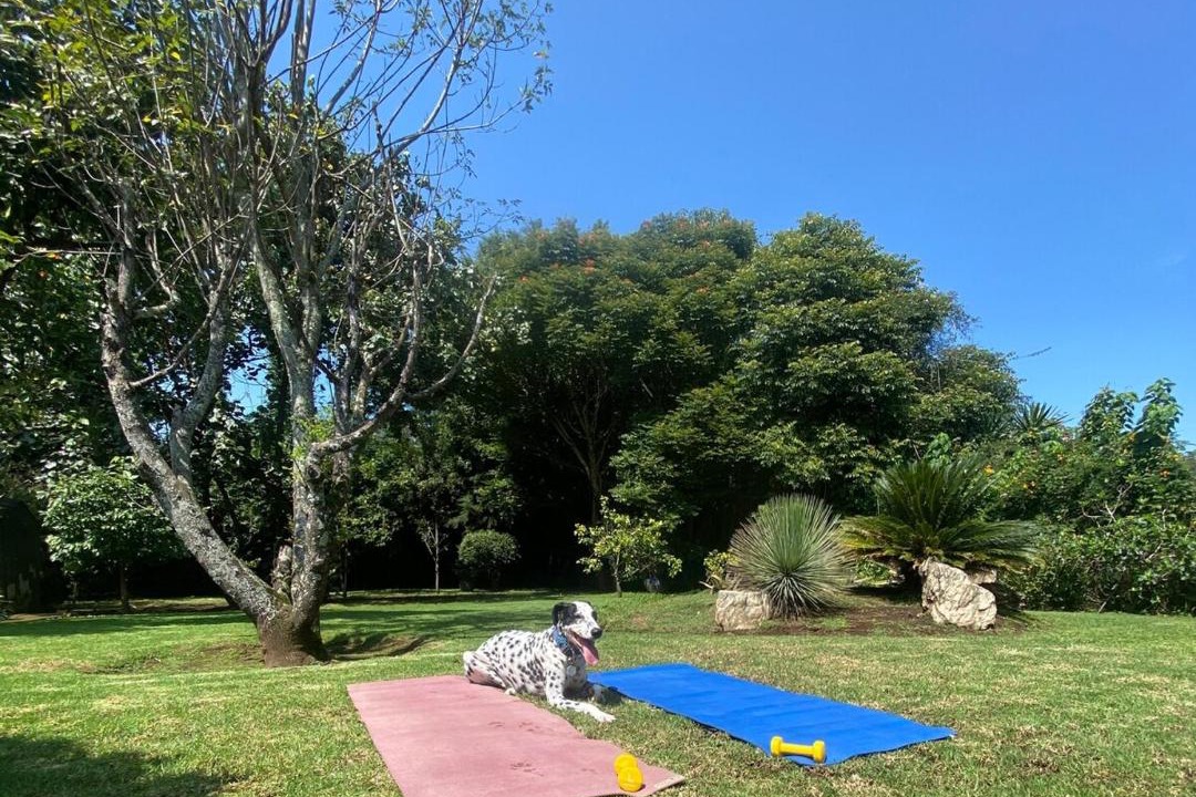 Photo of Outdoor in El Santuario