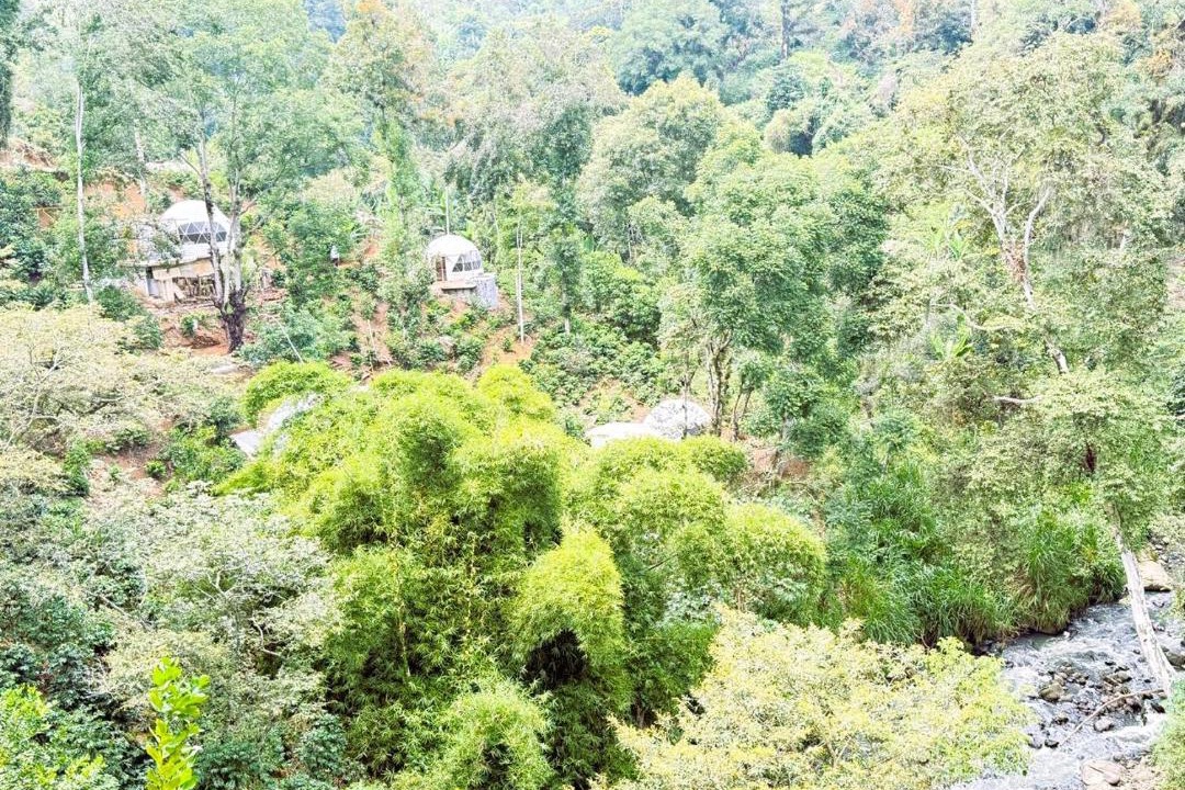 Photo of Others in Coatepec