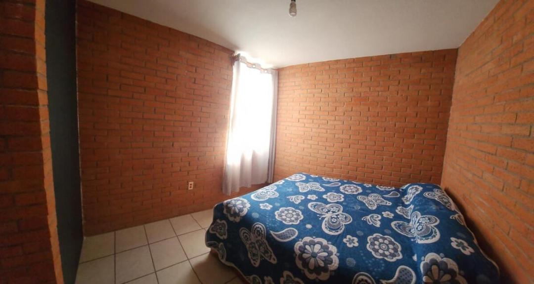 Photo of Others in Guanajuato