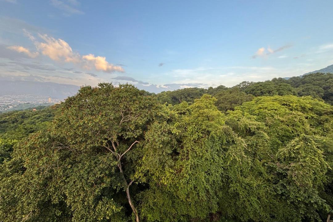 Photo of Others in Tuxtla Gutierrez