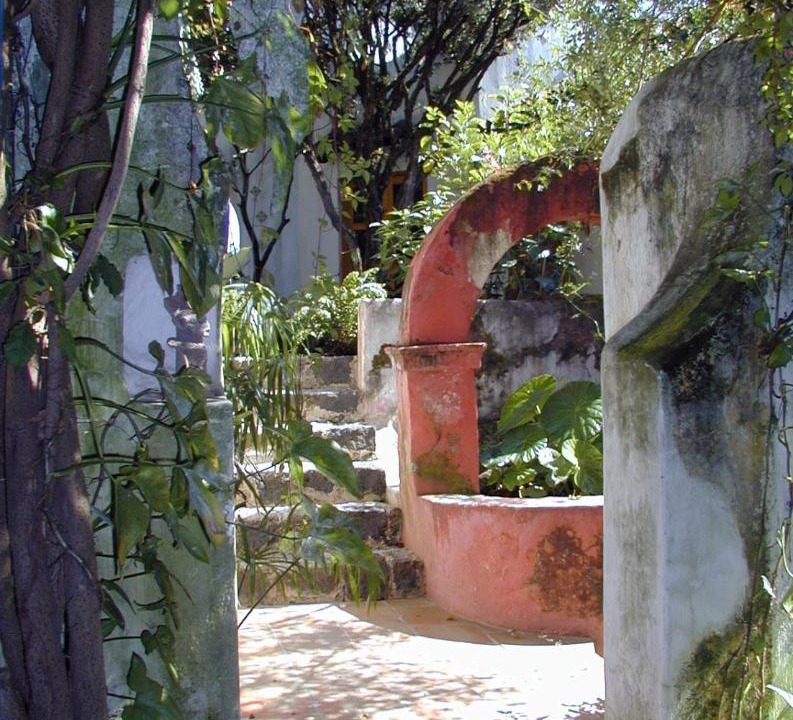 Photo of Others in Xalapa