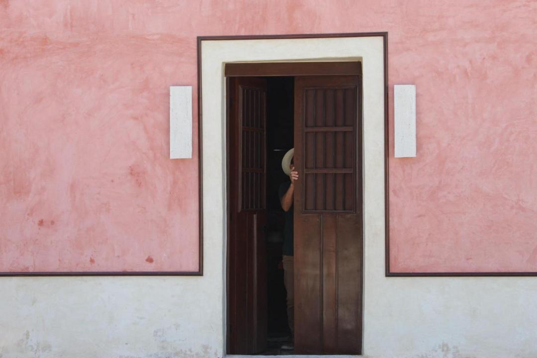Photo of Others in Sisal