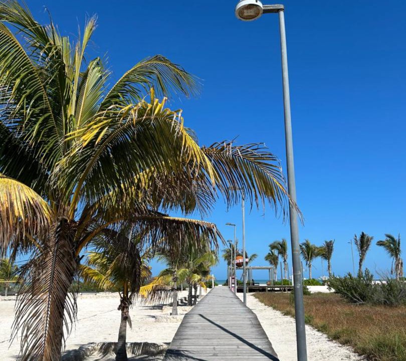 Photo of Others in Progreso Municipality