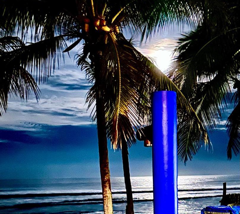 Photo of Others in Troncones