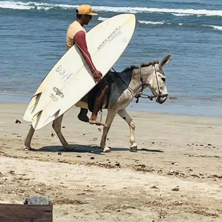 Photo of Human In Picture in Troncones