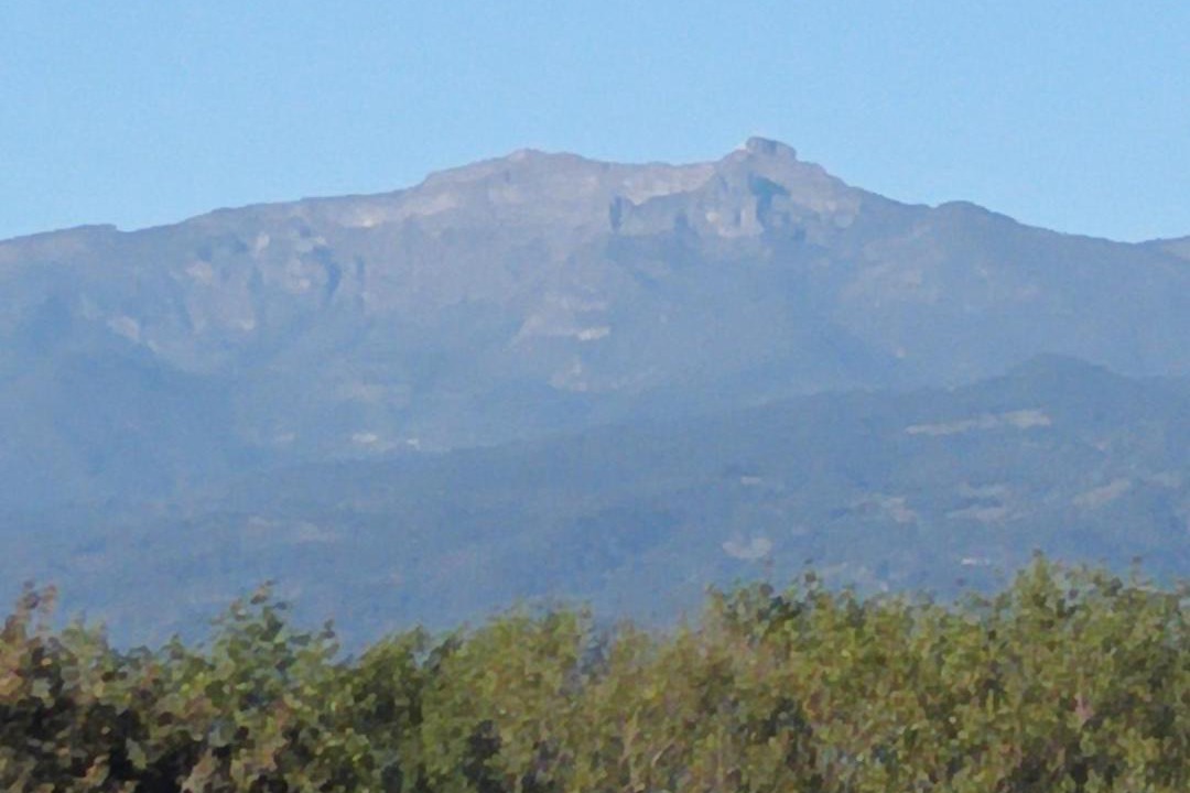 Photo of Others in Xalapa
