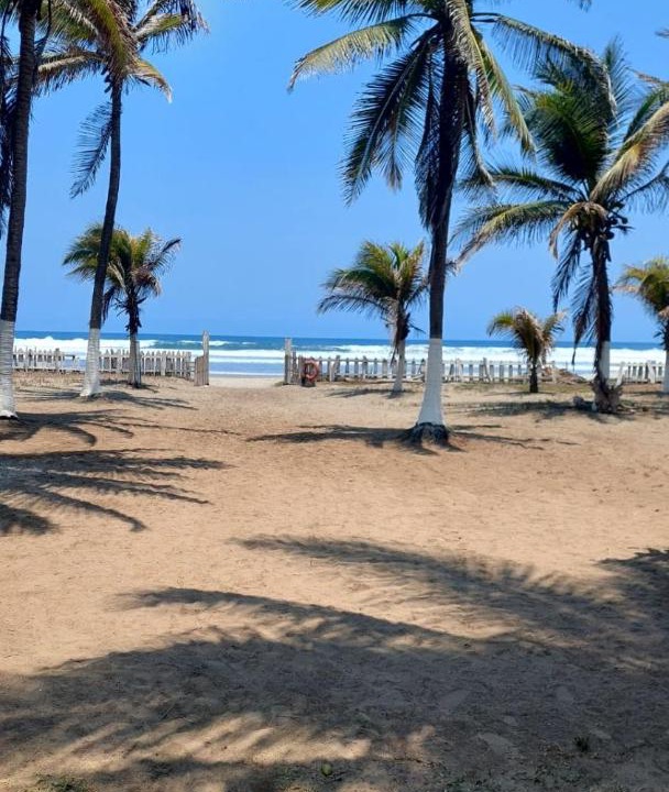 Photo of Others in Playa Azul