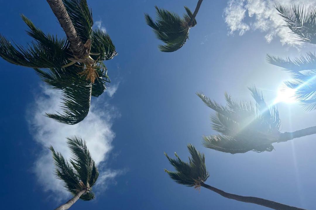 Photo of Others in Playa Azul