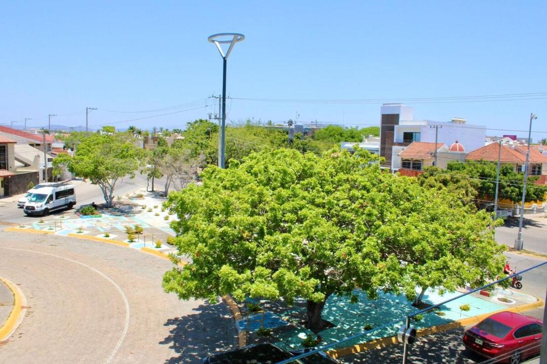 Photo of Others in Lomas de Mazatlan
