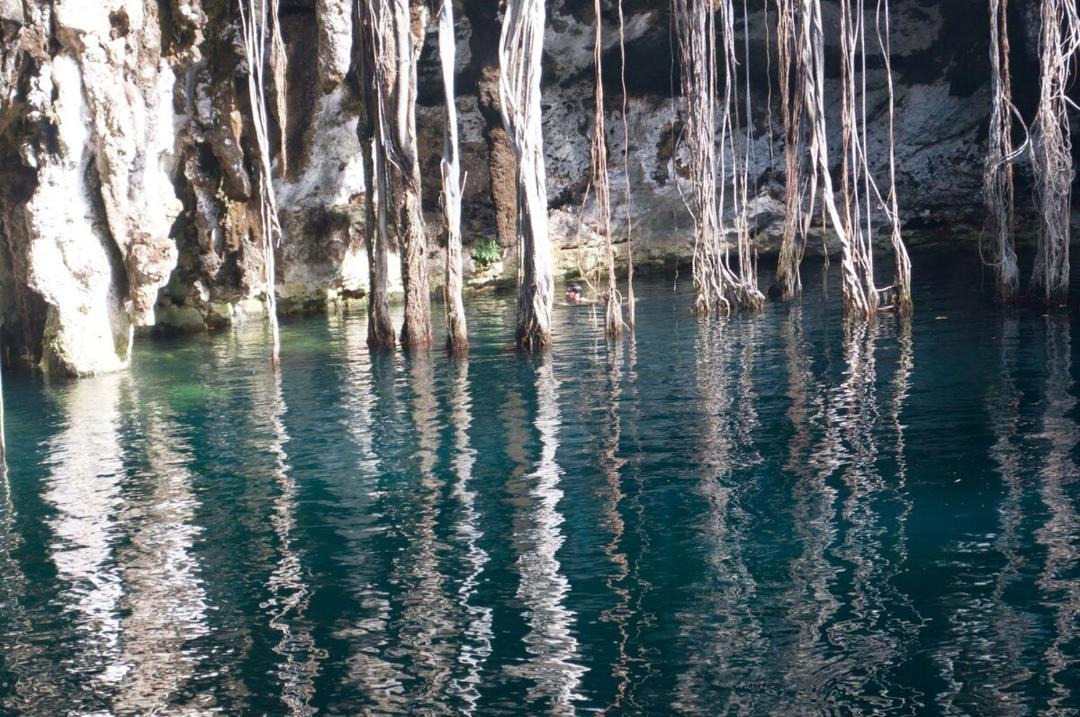 Photo of Others in Chicxulub Puerto