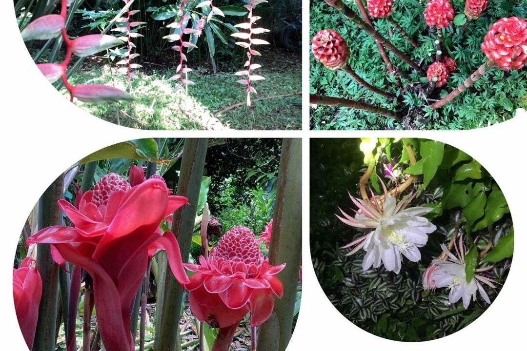 Photo of Outdoor in Tuxtla Chico