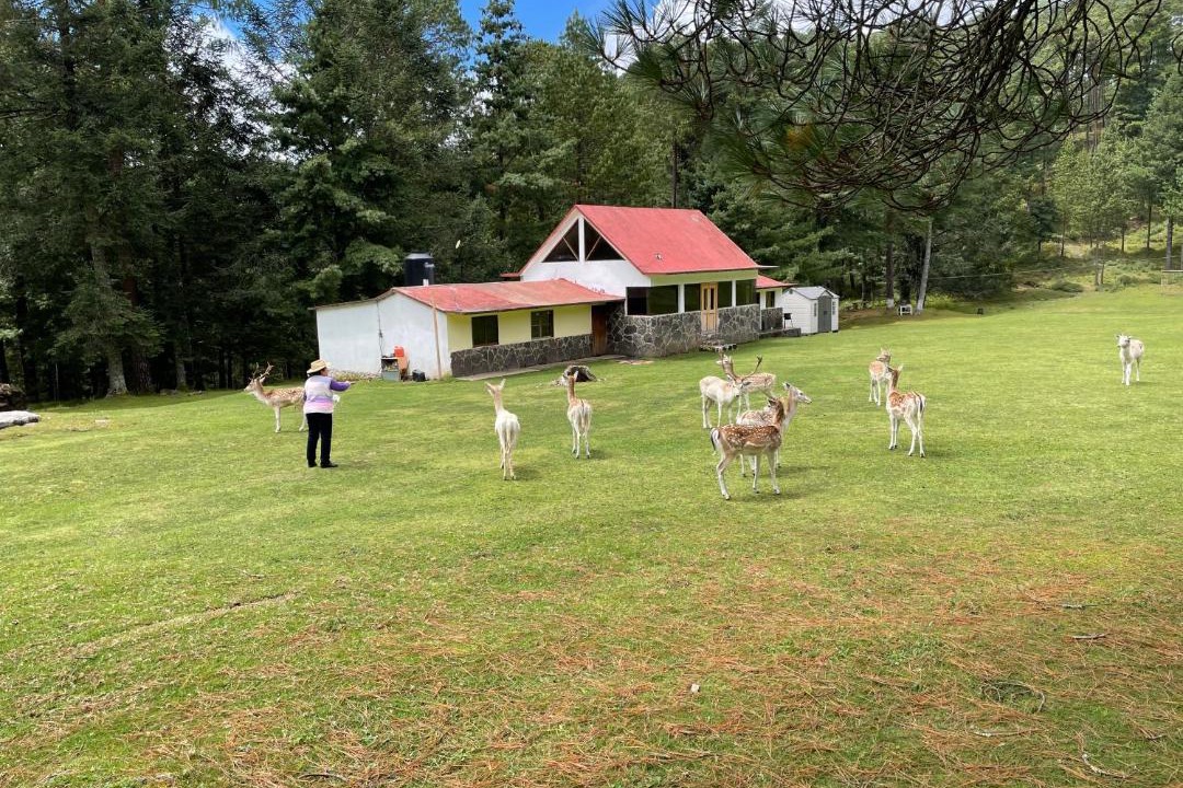 Photo of Others in Jimenez