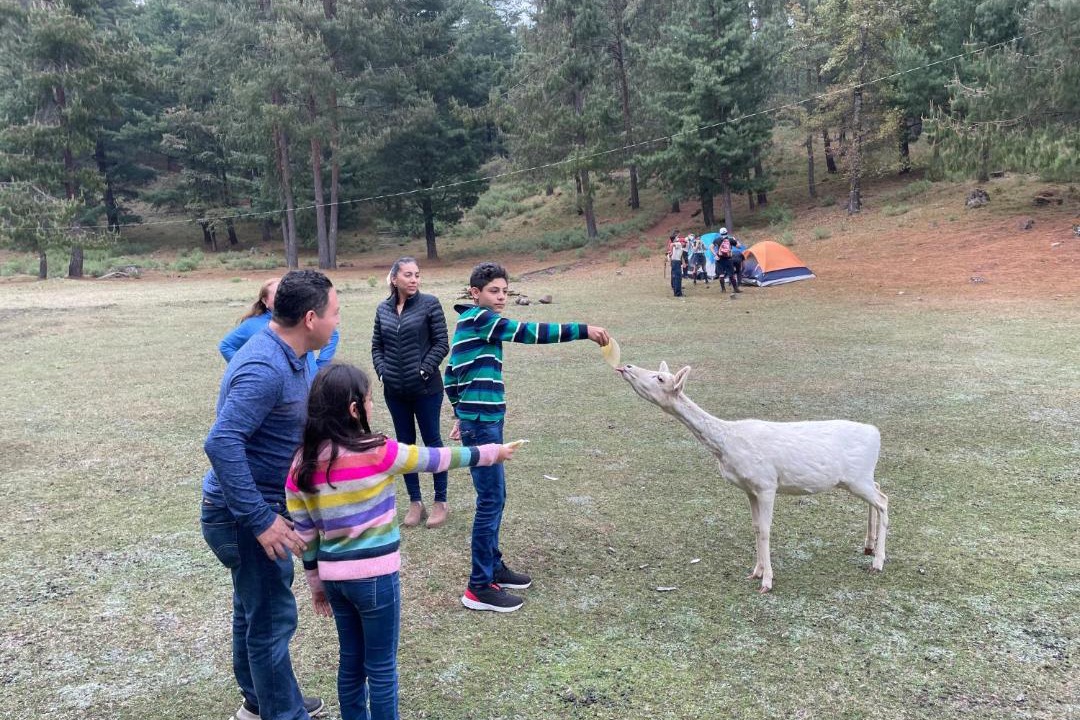 Photo of Others in Jimenez
