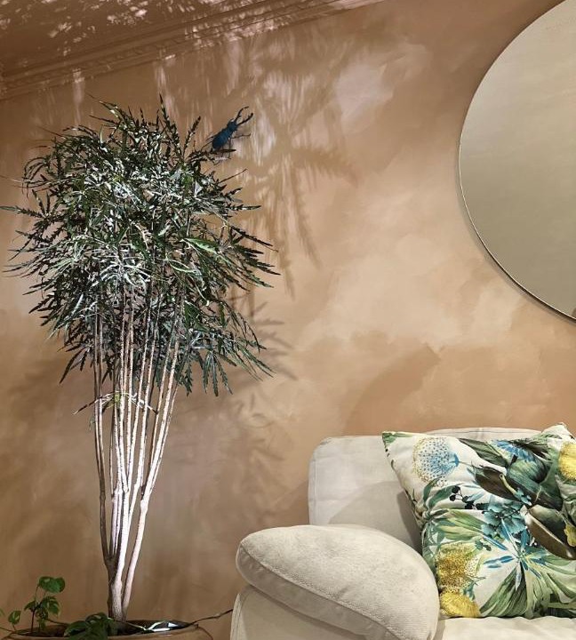 Photo of Livingroom in Zona Expo