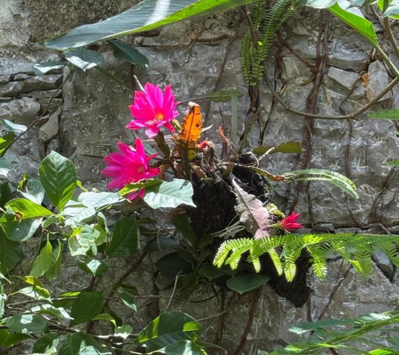 Photo of Others in Cuetzalan del Progreso