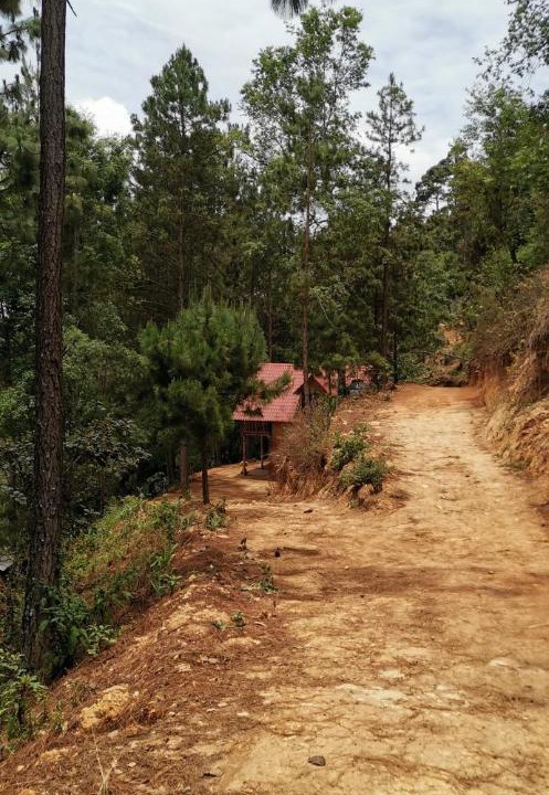 Photo of Others in San Sebastian Rio Hondo