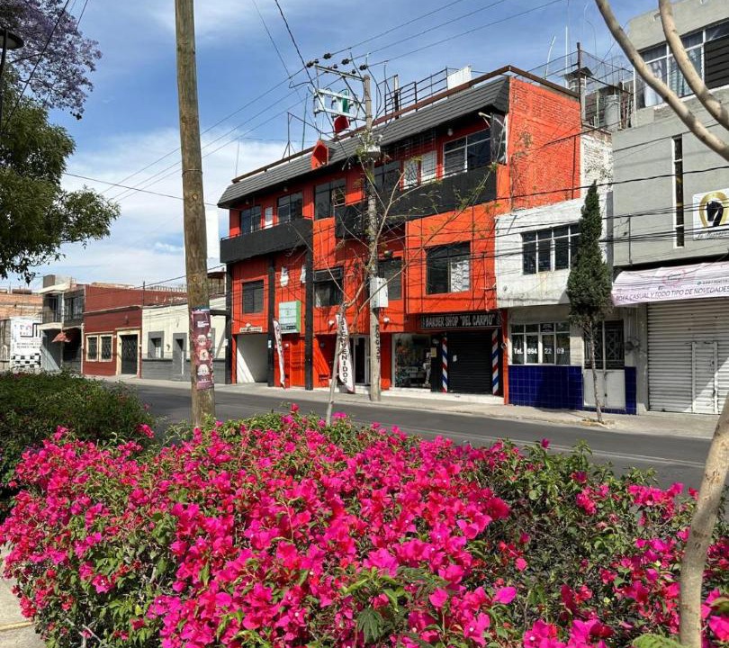 Photo of Others in Aguascalientes
