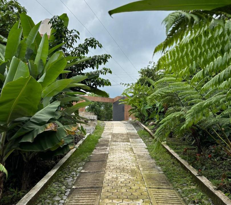 Photo of Others in Cacahoatan