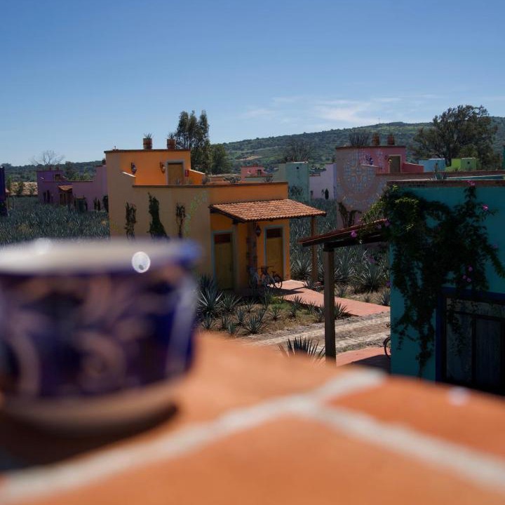 Photo of Others in Tepatitlan de Morelos