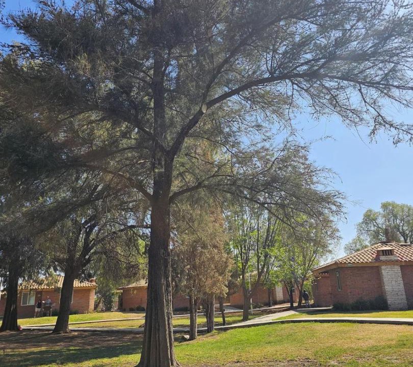 Photo of Others in San Francisco de los Romos