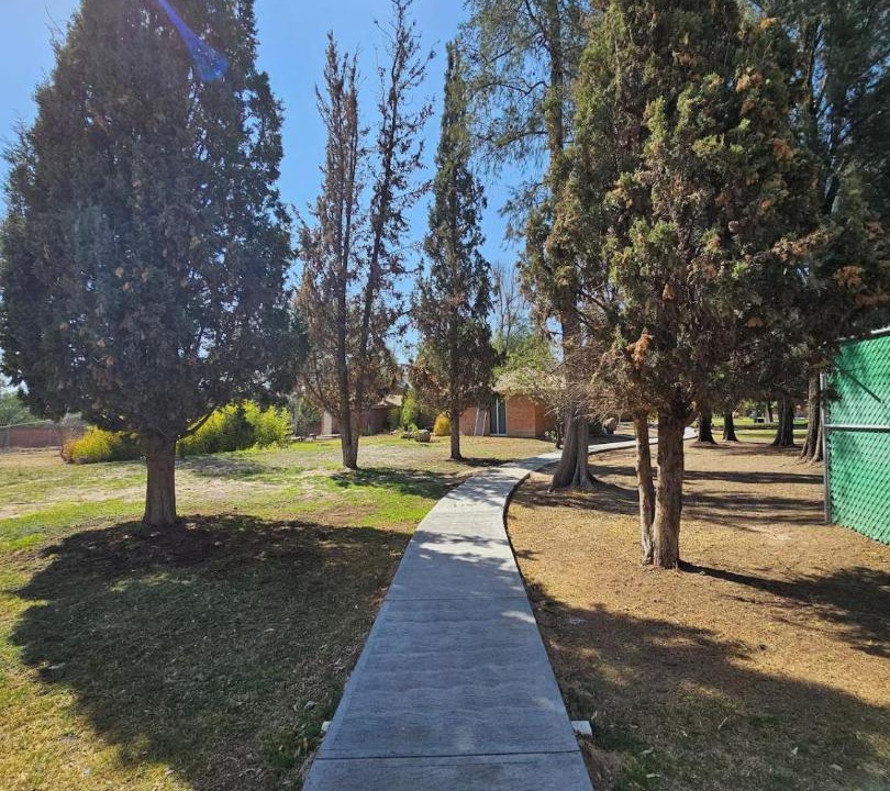 Photo of Others in San Francisco de los Romos