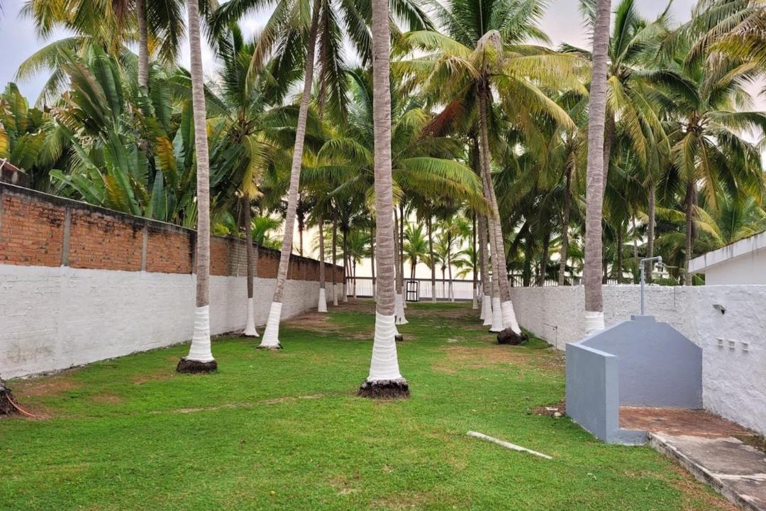 Photo of Others in Lo de Marcos