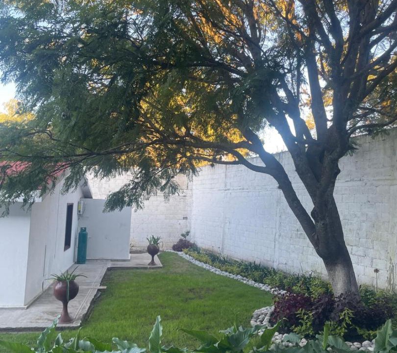 Photo of Others in Yauhquemehcan