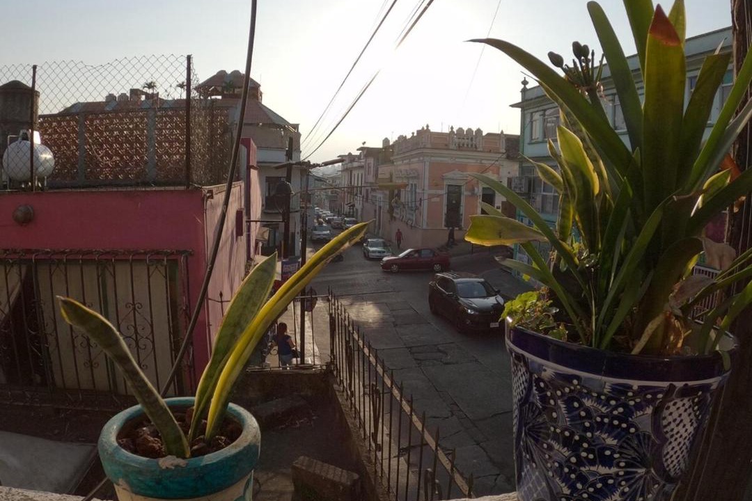 Photo of Others in Xalapa