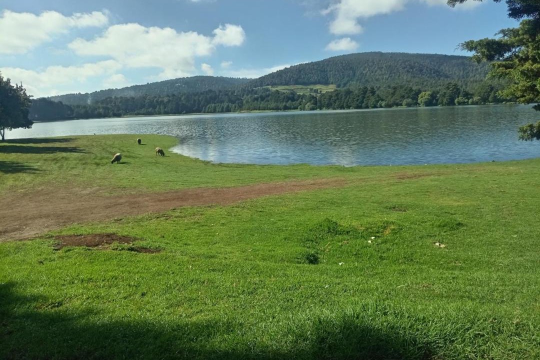 Photo of Others in El Oro