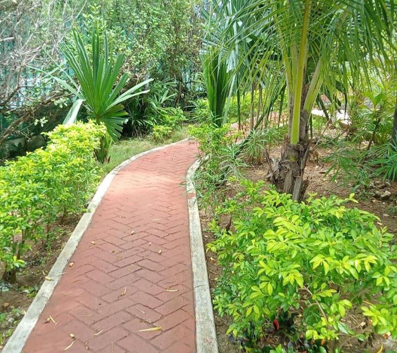 Photo of Outdoor in Puerto Juarez