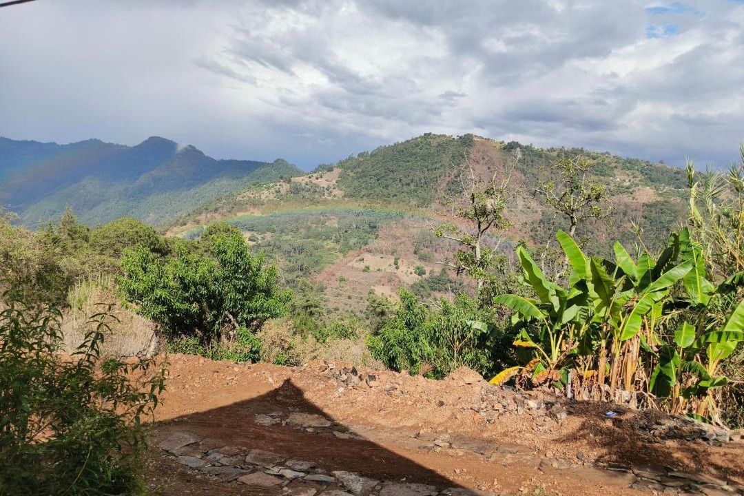 Photo of Others in Zacatlan