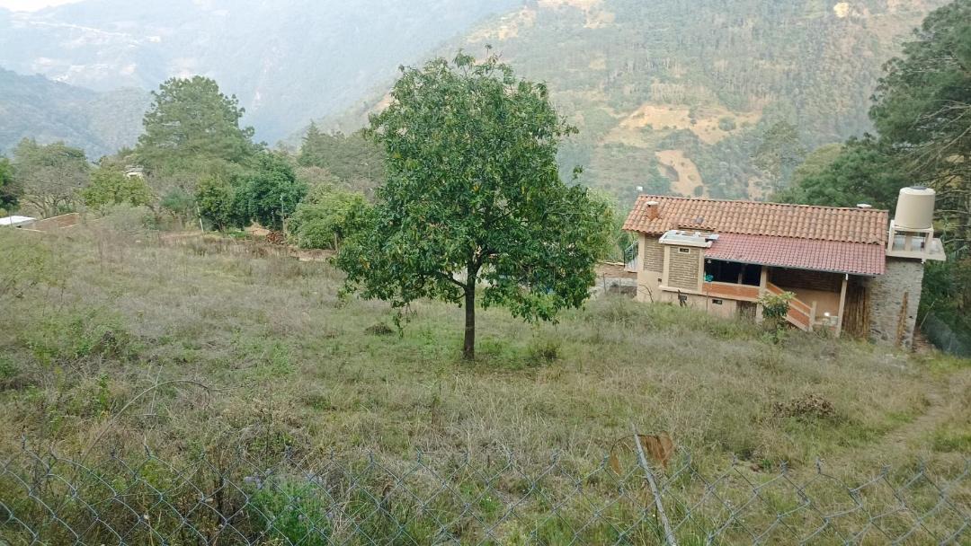 Photo of Others in Zacatlan