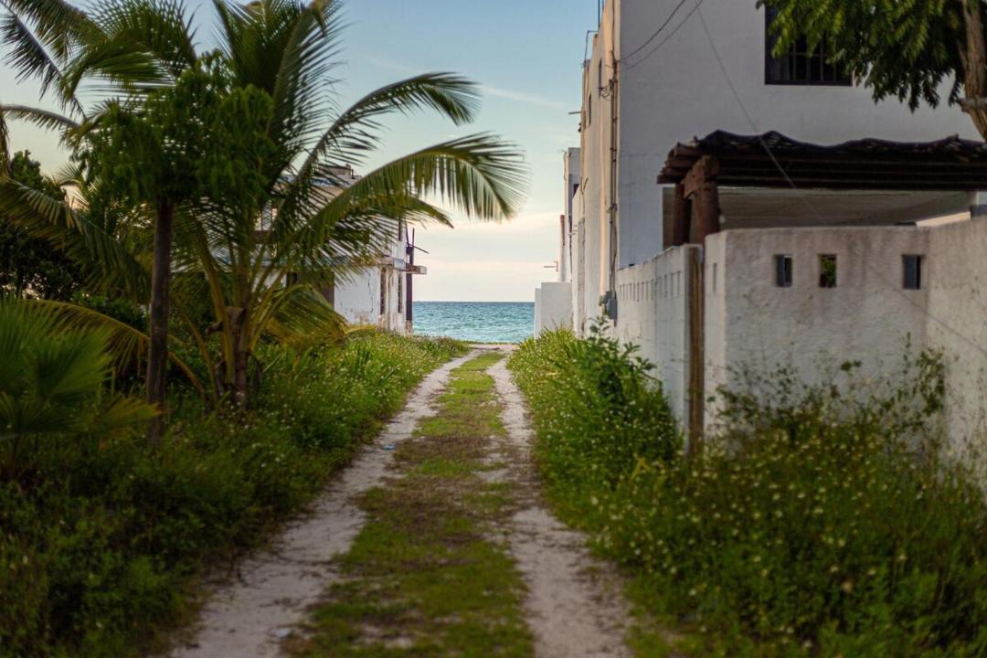Photo of Others in Chicxulub Puerto