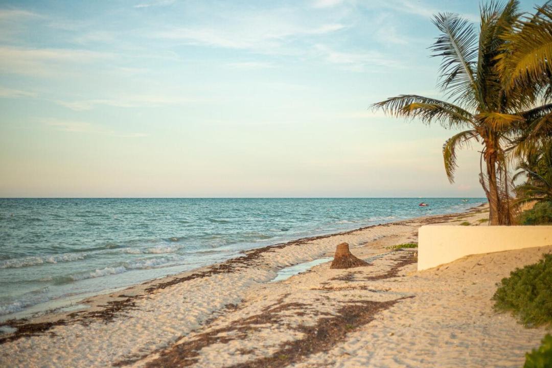 Photo of Others in Chicxulub Puerto