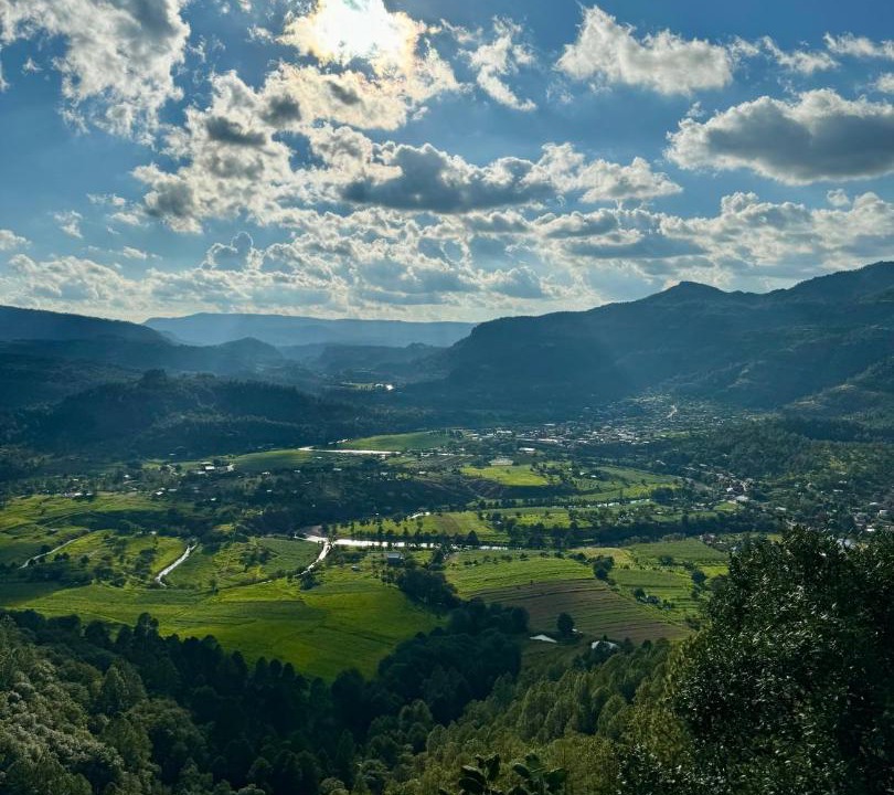Photo of Others in Cerocahui
