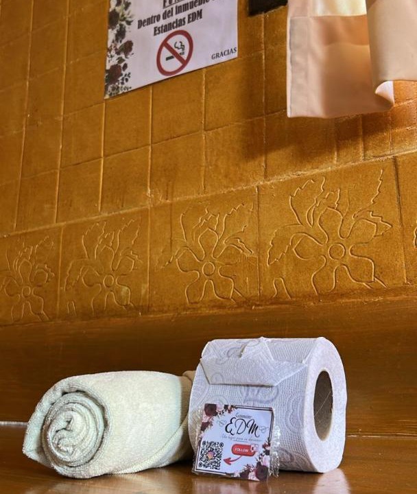 Photo of Bathroom in Pachuca