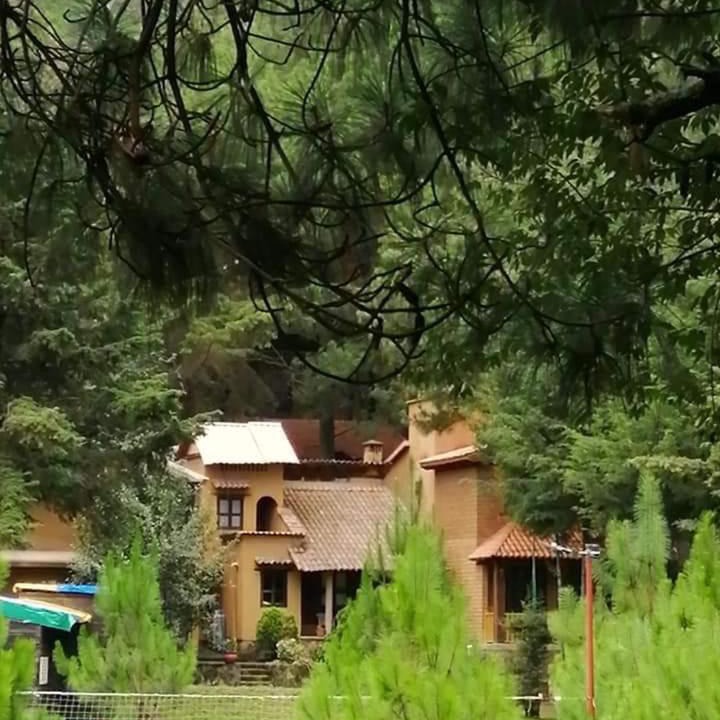 Photo of Others in Patzcuaro