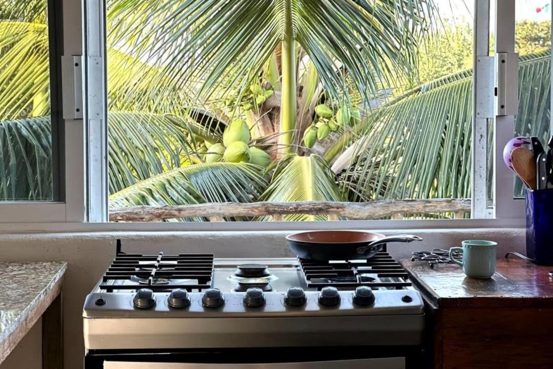 Photo of Kitchen in Emiliano Zapata