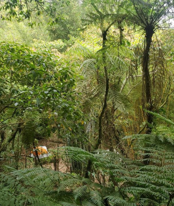 Photo of Others in Cuetzalan del Progreso