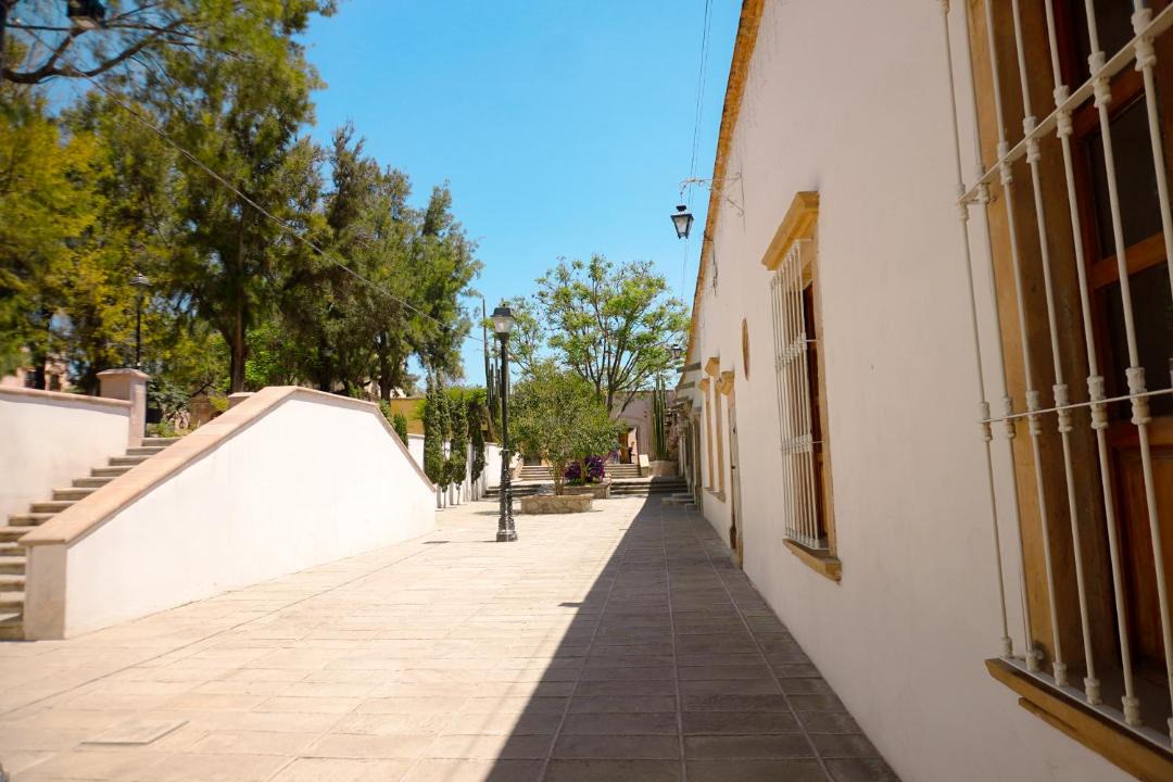 Photo of Others in Mineral de Pozos