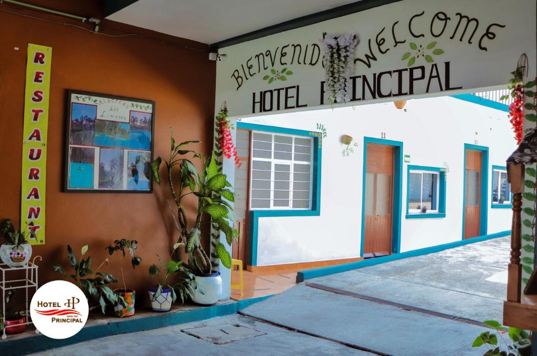 Photo of Others in Coatepec