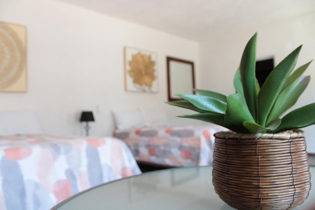 Photo of Bedroom in San Blas