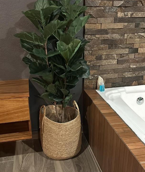 Photo of Bathroom in Mazamitla