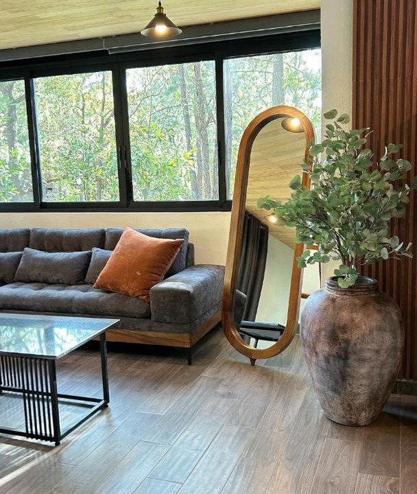 Photo of Livingroom in Mazamitla