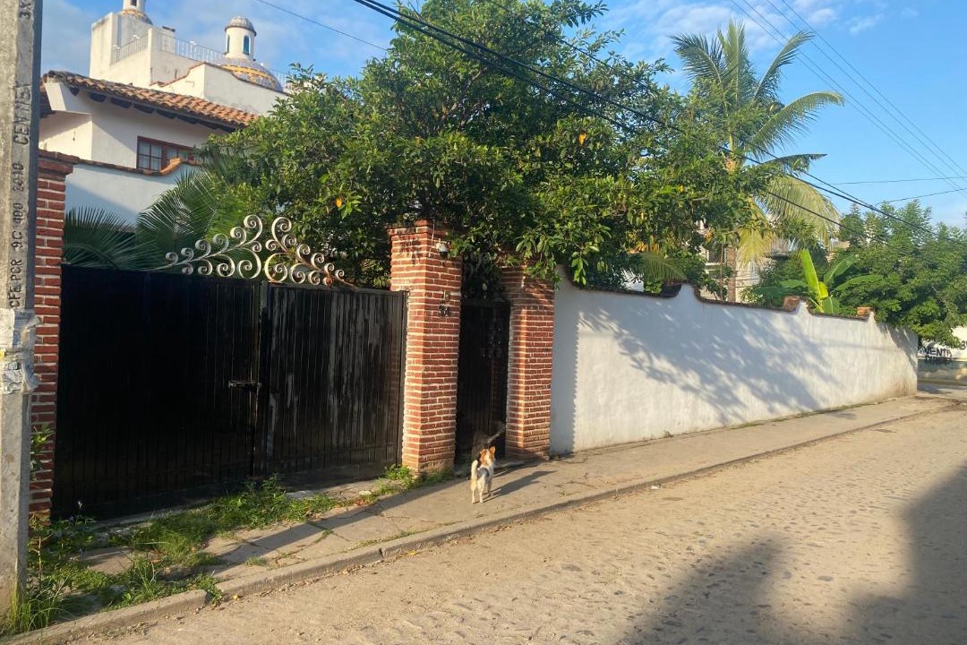Photo of Others in Las Jarretaderas