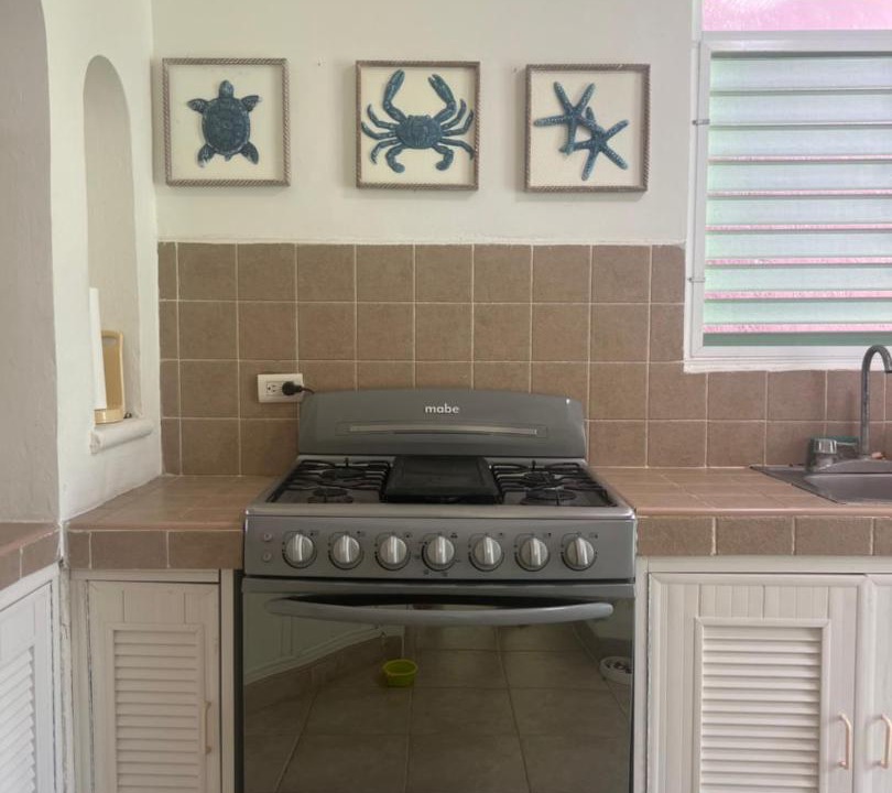 Photo of Kitchen in Chicxulub Puerto