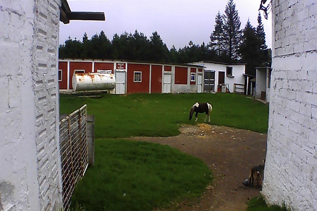 Photo of Others in Villa Aldama